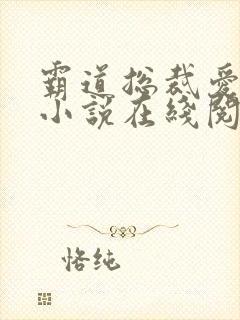 霸道总裁爱上我小说在线阅读