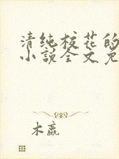 清纯校花的轶事小说全文免费阅读