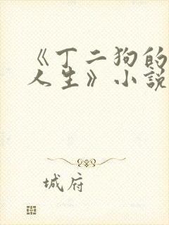 《丁二狗的逍遥人生》小说