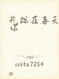 我总在春天想起你封面