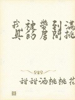 我被带到满是玩具的房间挑调游戏封面