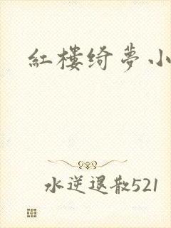 红楼绮梦小说
