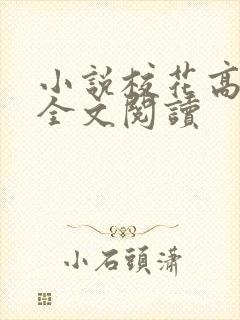 小说校花高筱柔全文阅读
