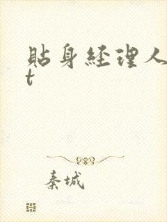 贴身经理人txt封面