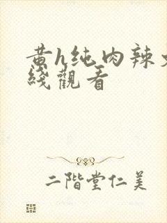 黄h纯肉辣文在线观看封面