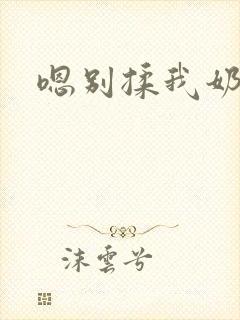 嗯别揉我奶子