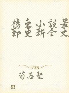 杨东小说最新章节更新全文阅读