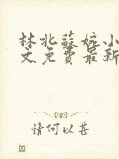 林北苏婉小说全文免费最新封面