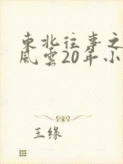 东北往事之黑道风云20年小说
