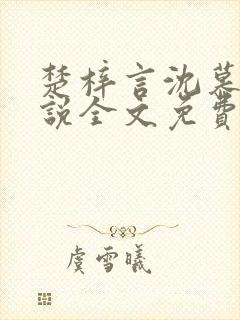楚梓言沈慕寒小说全文免费阅读笔趣阁