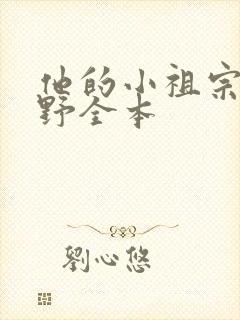 他的小祖宗甜又野全本封面