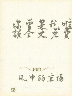 你曾是我唯一小说全文免费阅读