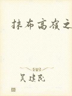 抹布高岭之花封面