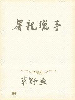 屠龙猎手
