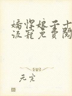 娇悍娘子十夫轮流宠免费阅读全文