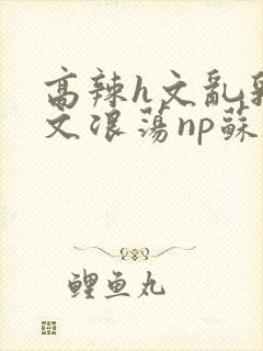 高辣h文乱乳h文浪荡np苏夏封面