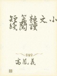 短篇辣文小说在线阅读