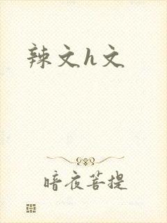 辣文h文