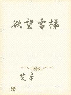 欲望电梯