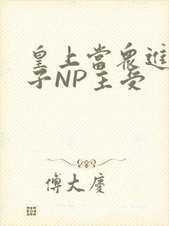 皇上当众进入太子NP主受
