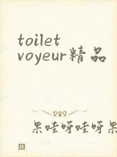 toilet voyeur精品封面