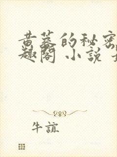 黄蓉的秘密 笔趣阁 小说 最新章节在线阅读