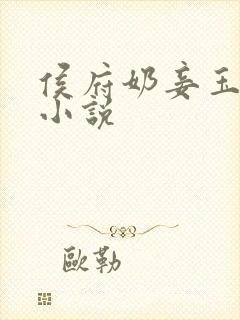 侯府奶妾玉壶吟小说