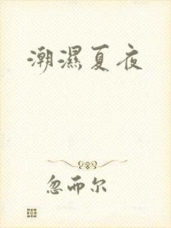 潮湿夏夜封面