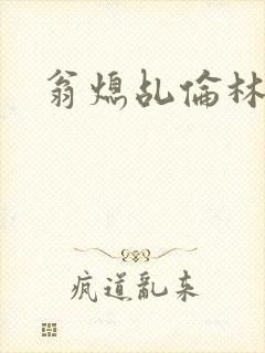 翁熄乩伦林娟封面