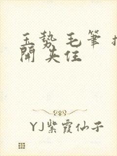 玉势 毛笔 撑开 夹住