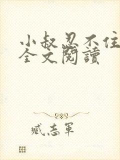 小叔忍不住小说全文阅读