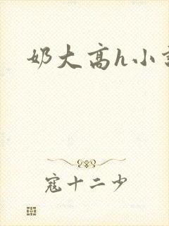 奶大高h小说
