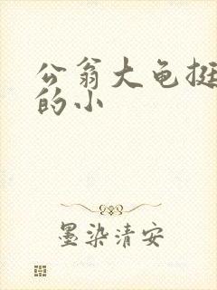 公翁大龟挺进我的小