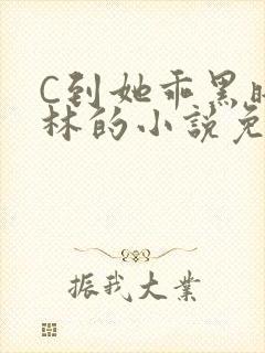 C到她乖黑暗森林的小说免费