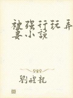 被强行玩弄的人妻小说封面
