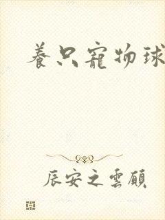 养只宠物球