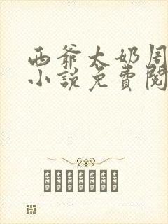 西爷太奶周颂言小说免费阅读无弹窗