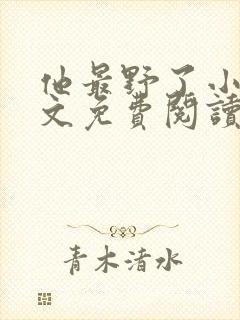 他最野了小说全文免费阅读无弹窗