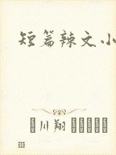 短篇辣文小说