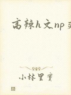高辣h文np爽