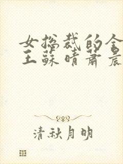 女总裁的全能兵王苏晴萧晨