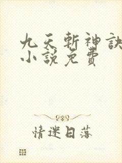 九天斩神诀林辰小说免费封面