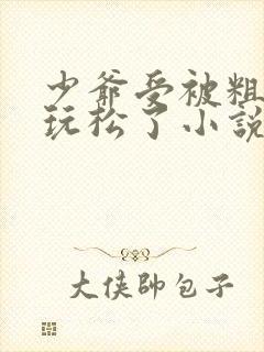 少爷受被粗汉H玩松了小说封面