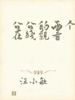 公公的两个儿媳在线观看封面