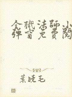 全职法师小说无弹窗免费阅读封面