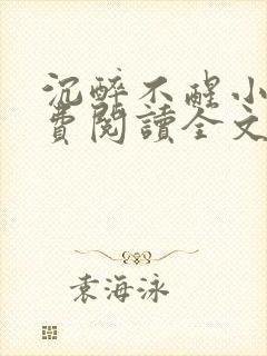 沉醉不醒小说免费阅读全文无弹窗