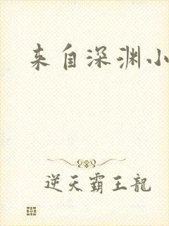 来自深渊小说