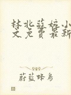 林北苏婉小说全文免费最新
