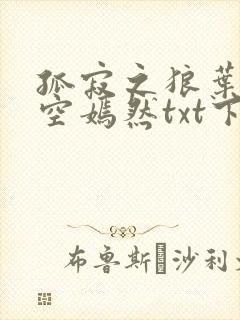 孤寂之狼叶凡司空嫣然txt下载