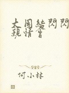 大团结闪闪发光亲情会封面